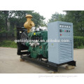 60hz 200kva natural gas fuel cell generator with Leroy Somer